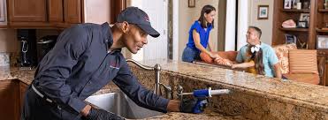 Best Residential Pest Control  in Taylor Creek, OH